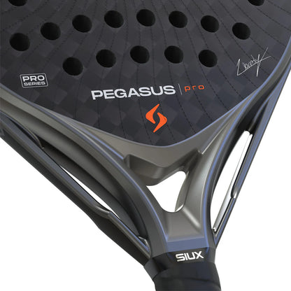 Racchetta Siux Pegasus Pro 2026 Storm Grey