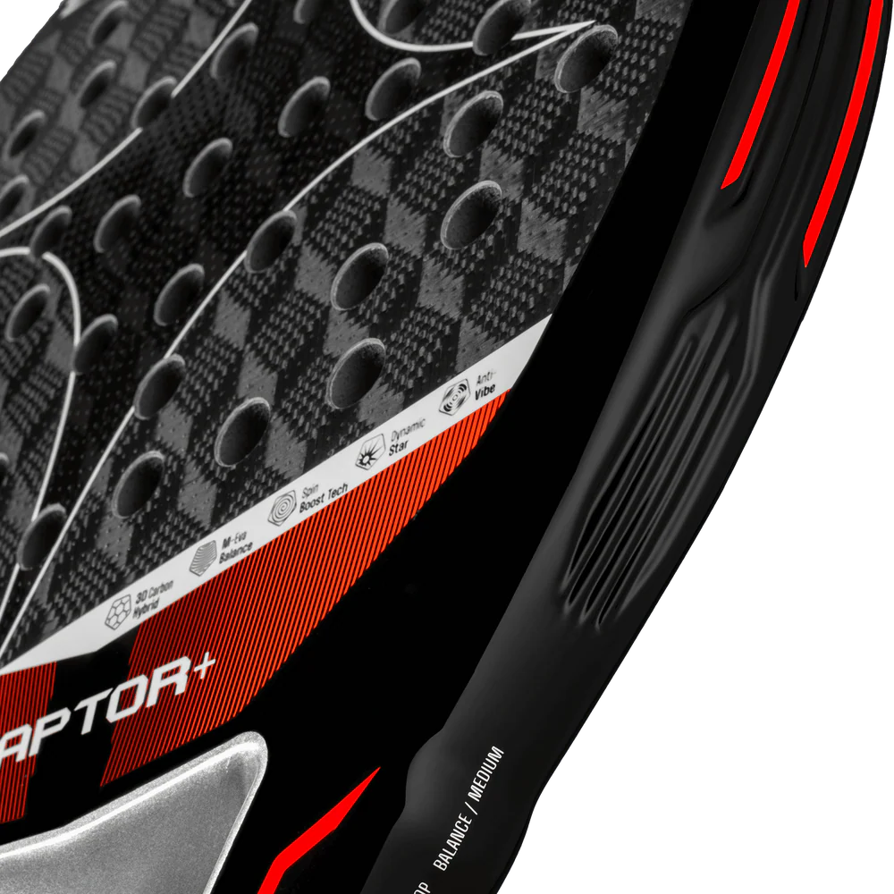 Racchetta Starvie Raptor
