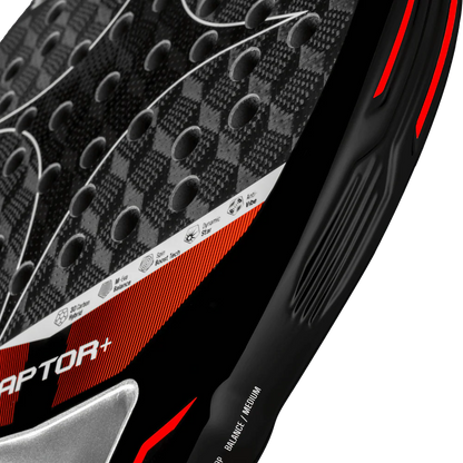 Racchetta Starvie Raptor